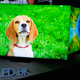 Image for article titled Samsung Saved Its Best New TV Tech for the Wrong Damn TVs